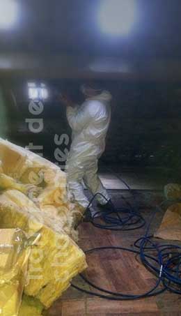 Petit Mangin Clément - Rubrique