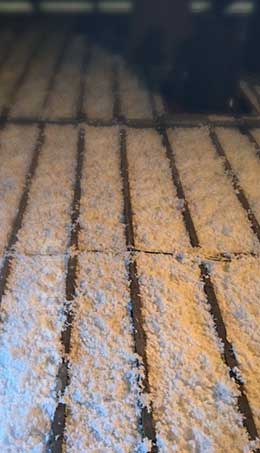 Petit Mangin Clément - Rubrique